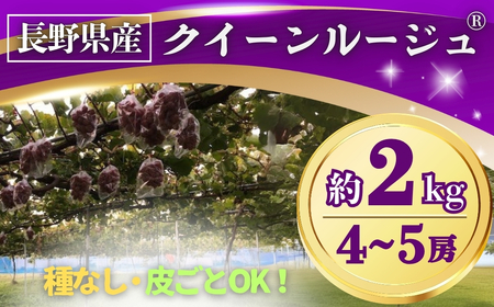 y2026Ns\zԂǂ NC[[WR 2kg(4~5[) 쌧IWiib Ԃǂ