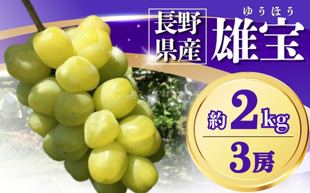 [2026年先行予約]ぶどう 雄宝(ゆうほう) 約2kg(3房)| ぶどう
