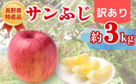 [2026年先行予約]サンふじ 約3kg 訳あり| りんご