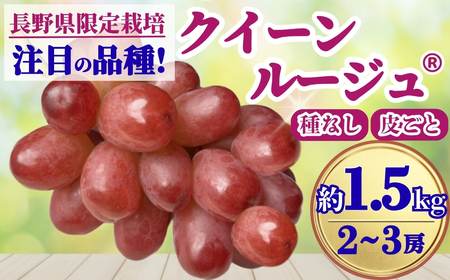 [2026年先行予約]クイーンルージュ®︎ 約1.5kg(2~3房)| ぶどう