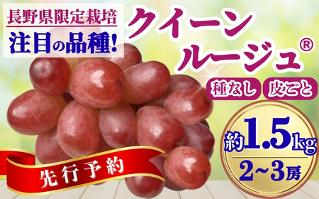 Ԃǂ NC[[WR 2kg(3~5[)b Ԃǂ