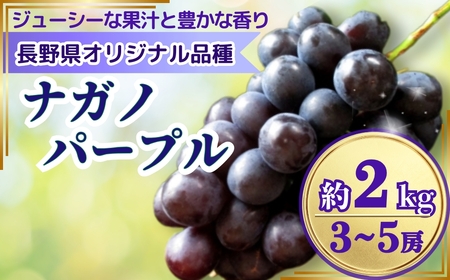 [2026年先行予約]ナガノパープル 約2kg(3~5房)|ぶどう