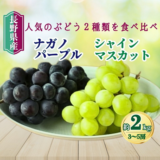 【2026年先行予約】家庭用 シャインマスカット＆ナガノパープル 約2kg（3~5房）｜ ぶどう