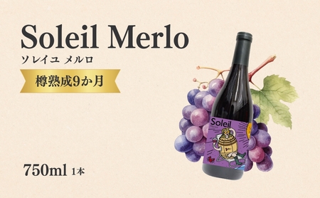 赤ワイン[ソレイユ メルロ] 750ml × 1本 |赤ワイン