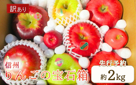 訳あり りんご 園主におまかせ 詰合せ 計約2kg(5~8玉)りんごの宝石箱 千曲市 長野県 信州
