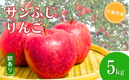 󂠂  Tӂ  5kg ʕ t[c 쌧Y Ȏs MB