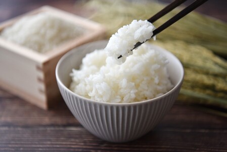 令和7年産コシヒカリ精米5kg| コシヒカリ ご飯 白米 千曲市 長野県 信州