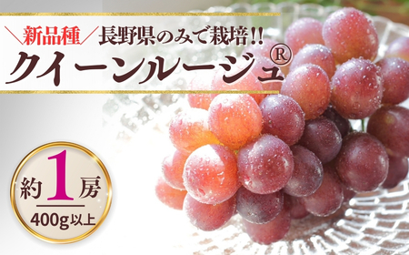 y2026Ns\zNC[[WR  400gȏ(1[)  | Ԃǂ Ԃǂ