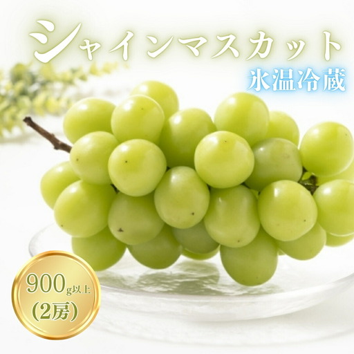 [2026年先行予約]氷温保存シャインマスカット 900g以上(2房)|シャインマスカット