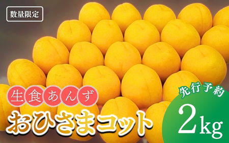[2026年先行予約]あんず おひさまコット(生食/皮ごとOK) 約2kg | あんず 長野県 千曲市