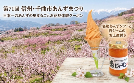 日本一のあんずの里まるごとお花見体験クーポン(名物杏ソフトと杏ジャムのお土産付き)|長野県 千曲市