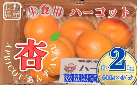 [2026年先行予約]生食用あんずハーコット2kg(約500g×4パック) | 杏子 アプリコット 信州 長野県 千曲市