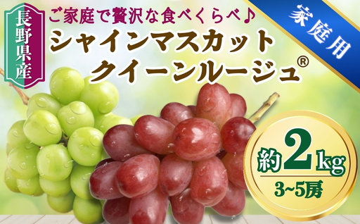 [2026年先行予約]家庭用 シャインマスカット&クイーンルージュ® 約2kg(3~5房)| シャインマスカット