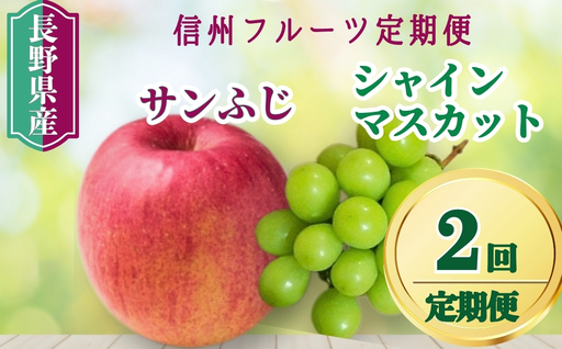 2回定期便:シャインマスカットとサンふじ 信州フルーツ定期便(ぶどう・りんご)| サンふじ