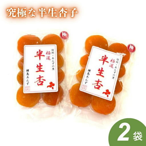 セミドライ 極撰 究極な半生杏子(100g×2袋) | あんず