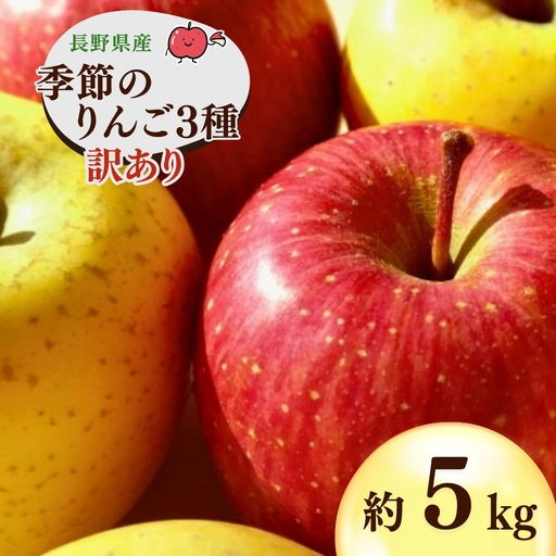 [2026年先行予約]千曲市産りんご 季節のりんご3種 約5kg 訳あり 家庭用 | りんご