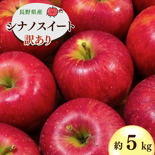 【2026年先行予約】千曲市産 シナノスイート りんご 約5kg 訳あり 家庭用 | りんご