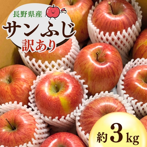 [2026年先行予約]千曲市産 サンふじ りんご 約3kg 訳あり 家庭用 | りんご
