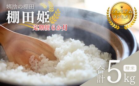 [ 令和7年産 コシヒカリ 先行予約]定期 6ヶ月 5kg