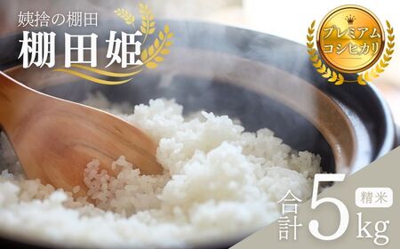 [ 令和7年産 コシヒカリ 先行予約]コシヒカリ 棚田姫 5kg