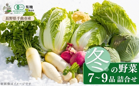 信州ありさんファーム 旬の野菜 7~9品 冬版 [有機JAS認証]| 野菜 野菜 野菜 野菜 野菜