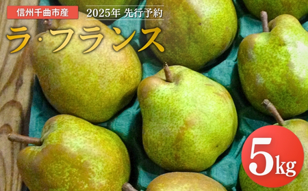 [2025年先行予約]洋梨 ラ・フランス 約5kg |ラフランス