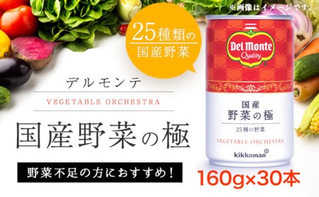 デルモンテ 国産 野菜の極(160g×30本)野菜 ジュース