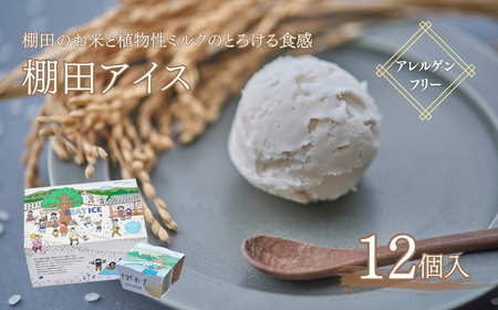 棚田アイス とろけるお米味 91ml×12個|アイス