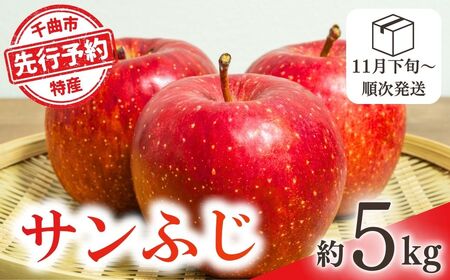 【2025年先行予約】りんご サンふじ 約5kg｜ りんご りんご りんご りんご りんご