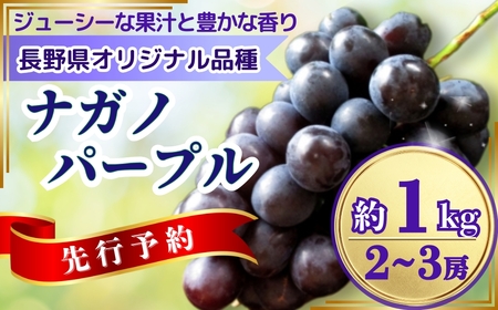 【2025年先行予約】ぶどう ナガノパープル 約1kg(2~3房)|ナガノパープル ナガノパープル ナガノパープル ナガノパープル ナガノパープル