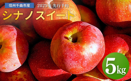 [2025年先行予約]りんご シナノスイート 12~20玉 約5kg|りんご