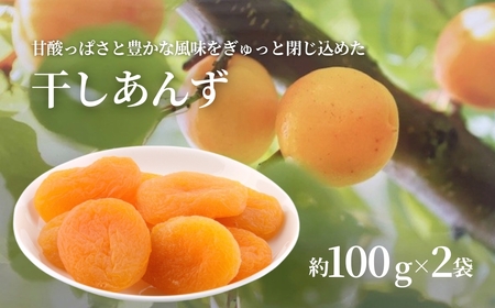 干しあんず 約100g×2袋 | あんずあんずあんずあんずあんずあんずあんず