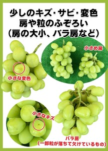 [2025年先行予約]訳あり シャインマスカット 家庭用 約2kg(3~5房)| シャインマスカット シャインマスカット シャインマスカット シャインマスカット シャインマスカット