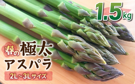 yst2026Nz_ƒIVNItlɑi2L`3LjAXp1.5kgi悻30`45{jb̂ڔ_ 2026N4{`5{\