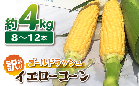 【先行受付2025年発送】訳あり東御市産とうもろこし（ゴールドラッシュ）約4kg（8〜12本）｜スイートコーン とうもろこしとうもろこしとうもろこしとうもろこしとうもろこしとうもろこしとうもろこし