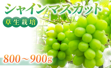 nVC}XJbg 800`900gijAΗjAjAjwsjVC}XJbgVC}XJbgVC}XJbgVC}XJbgVC}XJbgV