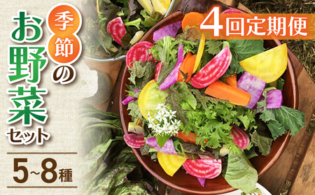 [4回定期便]季節のお野菜セット(2〜3人様向け)|アグロノーム