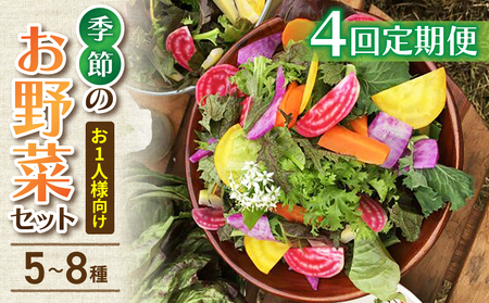 [4回定期便]お試し季節のお野菜セット(お一人様向け)|アグロノーム