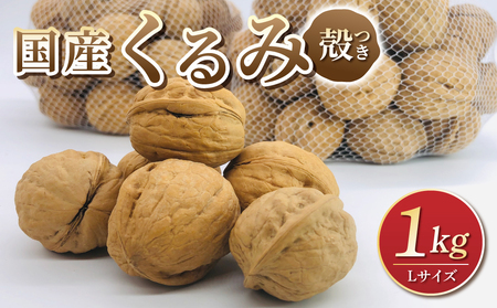 [アルファーム]令和7年産信濃くるみ 殻付きタイプ(Lサイズ)※2025年11月下旬以降発送 くるみくるみくるみくるみくるみくるみくるみ