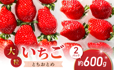 �嗱�I�c������̂������i�Ƃ����Ƃ߁j2�p�b�N�i600g�j�����p�b���n �H�ה�� � �C�`�S �t���[�c ���S �y�k�͔|��2026�N1����{�ȍ~�����\��@����������������������������������������