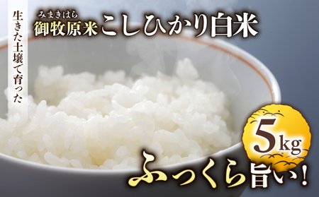 [里山JAPAN]長野県産!生きた土壌で育った御牧原米こしひかり 白米(八分づき・令和7年産) 5kg|2025年10月上旬以降に発送予定 白米白米白米白米白米白米白米