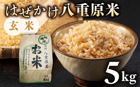 令和7年新米予約!稲作一筋の農家が育てたはぜかけ八重原米5kg(5kg×1袋)玄米 ※2025年11月上旬以降順次発送|山陽農園 コシヒカリ 特A良質米 玄米玄米玄米玄米玄米玄米玄米