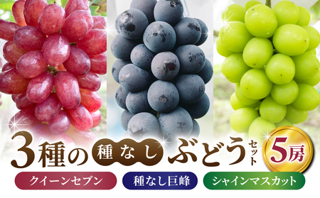 【あおさく農園】3種の種なしぶどうセット（クイーンセブン・巨峰・シャインマスカット）合計5房セット　シャインマスカットシャインマスカットシャインマスカットシャインマスカットシャインマスカット