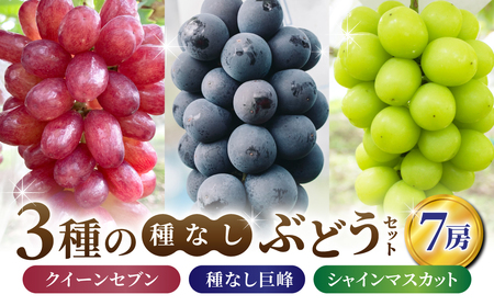 【あおさく農園】3種の種なしぶどうセット（クイーンセブン・巨峰・シャインマスカット）合計7房セット　シャインマスカットシャインマスカットシャインマスカットシャインマスカットシャインマスカット