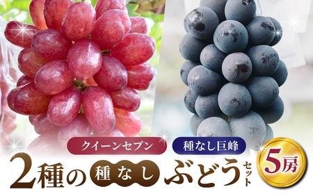 【あおさく農園】2種の種なしぶどうセット（クイーンセブン・種なし巨峰）合計5房セット　※2025年9月中旬以降発送予定｜巨峰巨峰巨峰巨峰巨峰巨峰巨峰