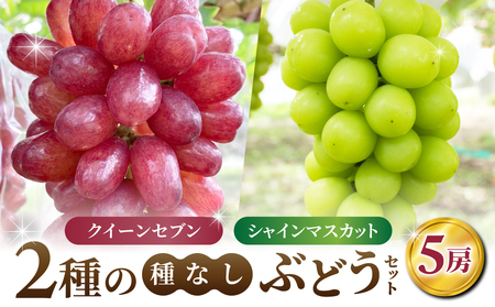 【あおさく農園】2種の種なしぶどうセット（クイーンセブン・シャインマスカット）合計5房セット　シャインマスカットシャインマスカットシャインマスカットシャインマスカットシャインマスカット