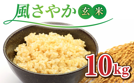 令和7年産新米!長野県オリジナル品種「風さやか」玄米10kg ※2025年10月上旬以降順次発送 玄米玄米玄米玄米玄米玄米玄米