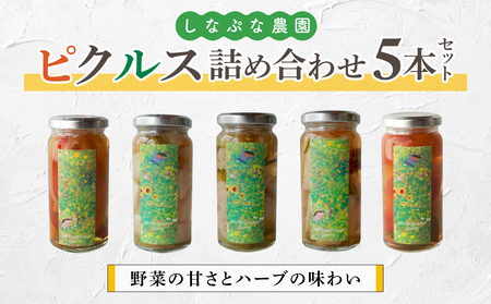 [しなぷな農園]しなぷなピクルス詰め合わせ(5本セット)|長野県 東御市 信州