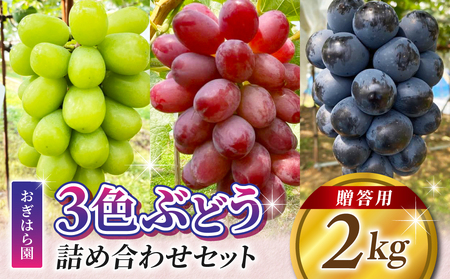 y͂牀z_ƒIp3FԂǂ̋lߍ킹Zbg 2kgi4`5[jbVC}XJbgAȂAiKmp[v ANC[j[iANC[[WRȂǁ@2025N9