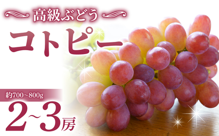 コトピー 2房 ご贈答品約700〜900g(2〜3房)| 甘くて美味しい高級ぶどう 希少種(月、火、金曜日発送限定。発送日、発送曜日指定不可)